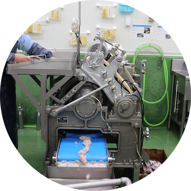 魚肉採取機で骨と皮を除去