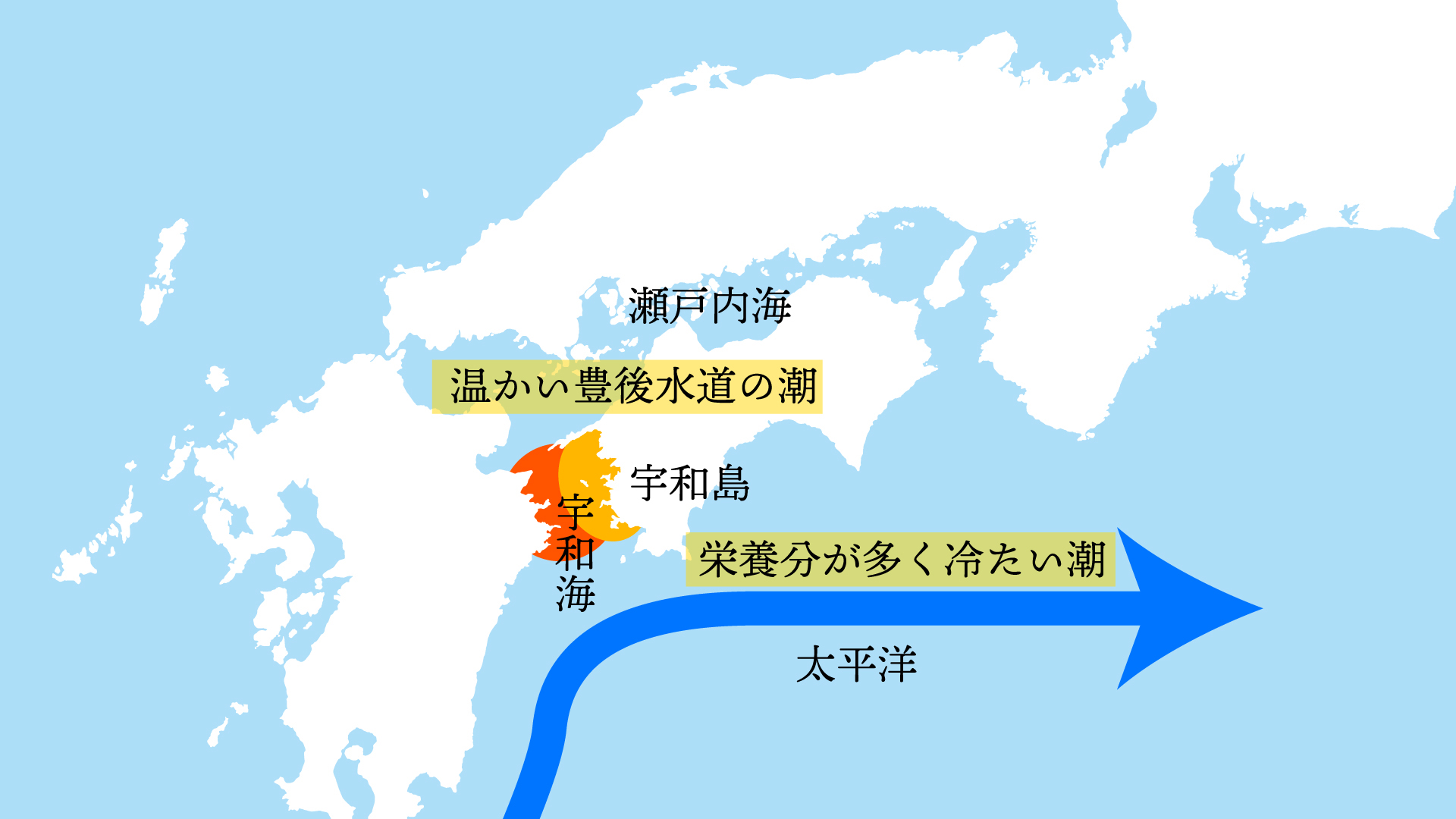 宇和海の潮の流れ 地図