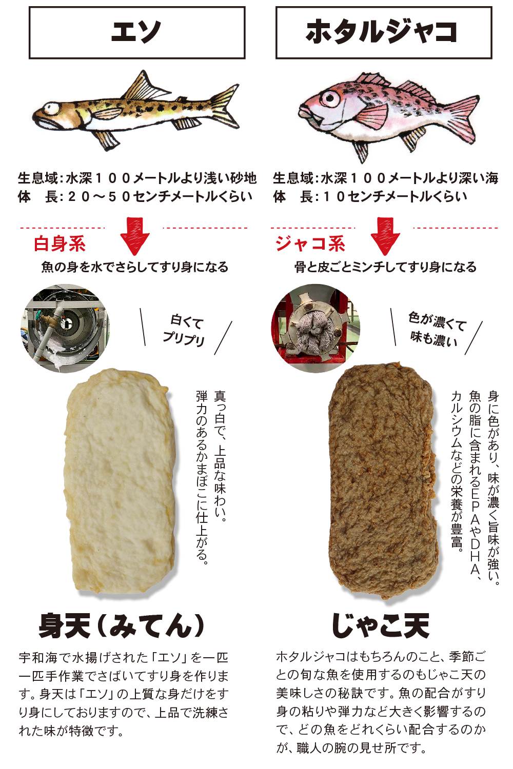 じゃこ天と身天