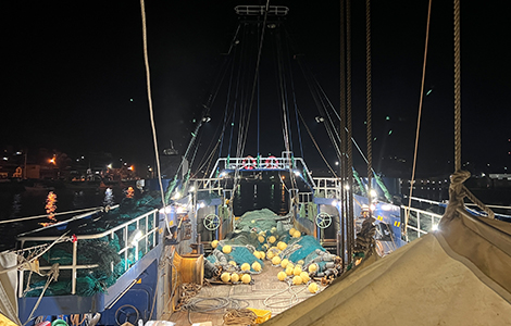 八幡浜のトロール漁