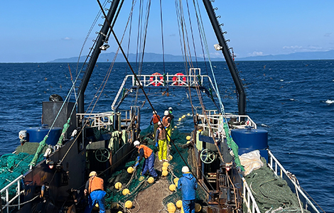 八幡浜のトロール漁