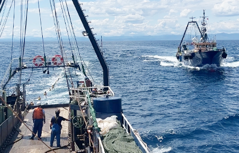 八幡浜のトロール漁