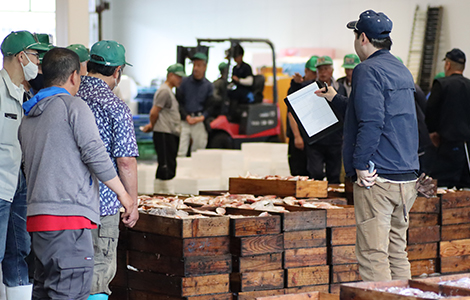 八幡浜のトロール漁