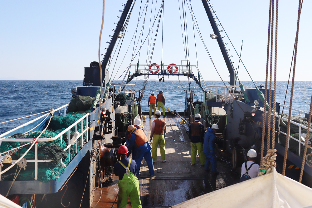 トロール漁の様子